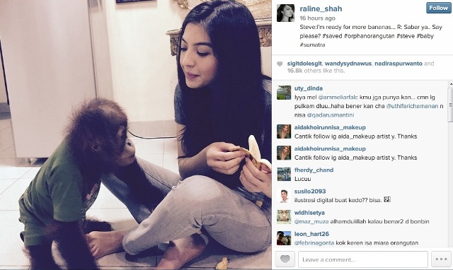 Dikecam Akibat Selfie dengan Orangutan, Ini Jawaban Raline Shah